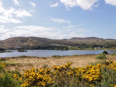 A landscape view of a lake with hills in the background and yellow flowering bushes in the foreground at LOCH ILLION VIEW in Dungloe County Donegal
