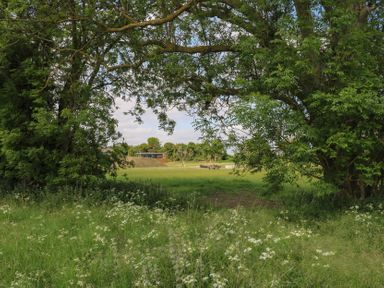 A grassy field with white flowers framed by trees with a picnic table and building in the distance at The Heron in Lode near Bottisham