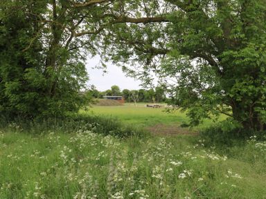 A green field with wildflowers and trees framing the view at Barn Owl in Lode near Bottisham