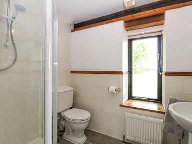 A bathroom with a shower, toilet, and sink at Lakeside Barn Aylsham