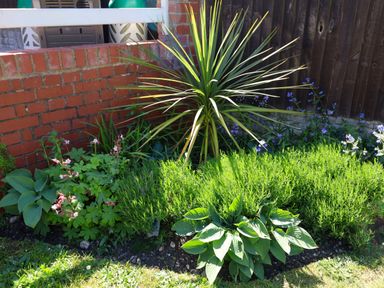Property photo 49 of 54