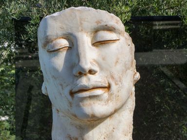 A sculpture of a face surrounded by greenery at Forest Lodge in Pontyclun