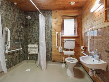 A bathroom with a shower area a toilet a sink and wooden walls at Sycamore Lodge in Rosliston