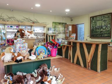 A gift shop with wooden counters stuffed animals and colorful toys at Sycamore Lodge in Rosliston