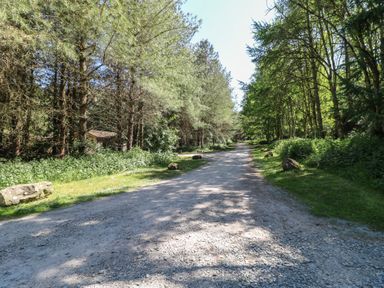 A gravel road flanked by trees and greenery with large rocks along the sides at Sycamore Lodge in Rosliston