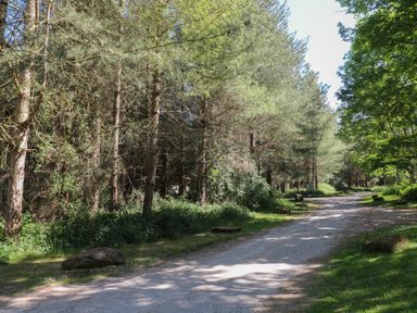 A dirt path surrounded by trees and bushes with rocks on the grass at Sycamore Lodge in Rosliston