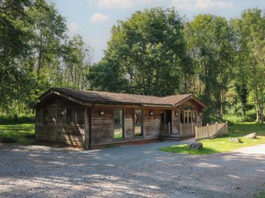 A wooden lodge surrounded by trees with a gravel driveway at Cedar Lodge in Rosliston