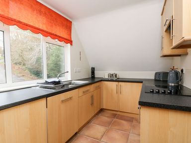 A kitchen with wooden cabinets black countertops a window with an orange curtain and appliances at Valley Lodge 31 in St Ann's Chapel Cornwall