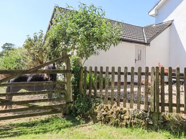 Property photo 19 of 23