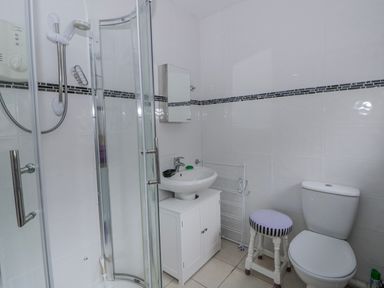 A bathroom with a shower, sink, and toilet at Yr Hen Ysgoldy