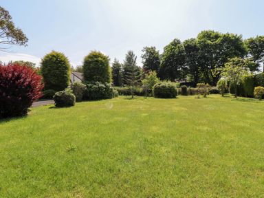 A garden with grass and various bushes at Rose Cottage Dunstan near Embleton