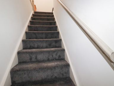 A staircase with carpeted steps and a handrail at Poldam St Austell