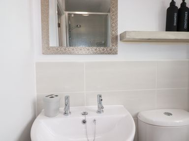 A bathroom with a basin and toilet at Poldam St Austell