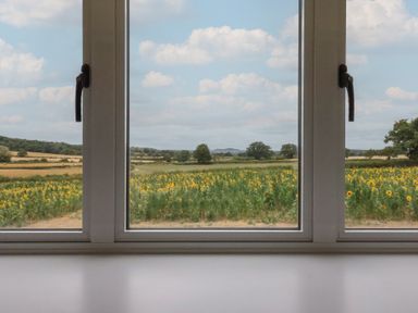 A view of a sunflower field through a window at Foxes Den Pendomer near Yeovil, Somerset
