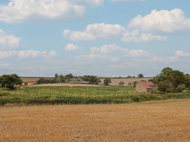 A field with a house and trees at Foxes Den Pendomer near Yeovil Somerset