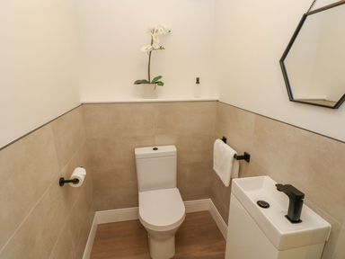 A bathroom with a toilet and sink at Hafan Y Gof in Newcastle Emlyn