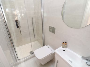 A bathroom with a shower and toilet at Carn Brea in Redruth