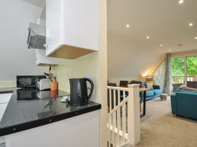 A kitchen with a kettle and a living room area at Valley Lodge 2 Callington