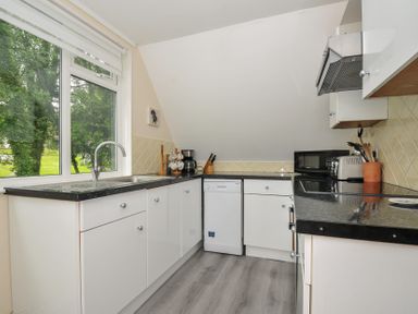 A kitchen with a sink and dishwasher at Valley Lodge 2 Callington