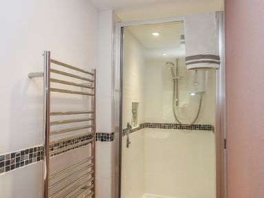 A bathroom with a shower and a towel rack at Lower Velwell Barn in Totnes
