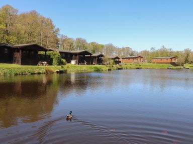 Cabins beside a lake with a duck swimming at Butterfly Hut 2 Forton near Garstang