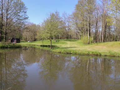 A pond surrounded by trees and a shed at Butterfly Hut 2 Forton near Garstang