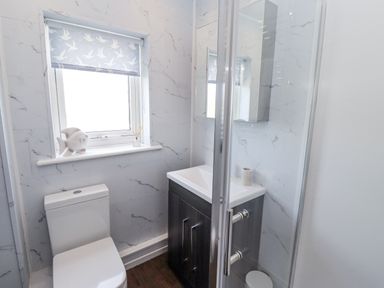 A bathroom with toilet, shower, and sink at Seahorse Cottage in Chathill