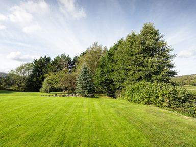 A garden with trees and a stone arrangement at Grove House in Grange-Over-Sands