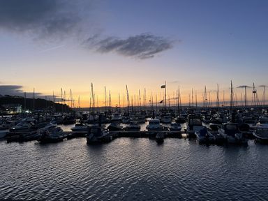 A marina with boats at sunset at 21 Station Hill