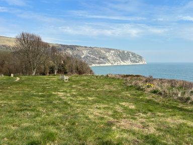 A grassy area with trees and a bench overlooking the ocean at Purbeck Vista in Swanage