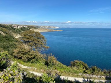 A coastal view with trees and a path at Purbeck Vista Swanage