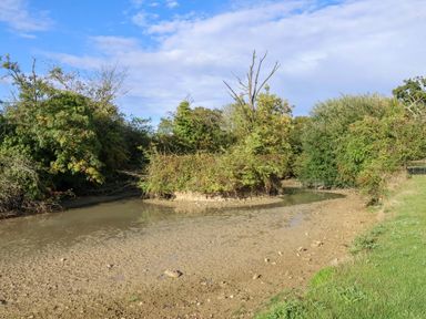 A river surrounded by trees and grass at Hayloft in Ipswich
