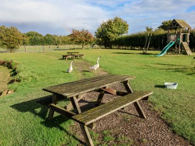 An outdoor area with a picnic table and geese at Fisherman's Rest in Ipswich