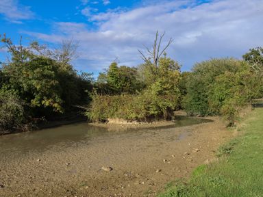 A river surrounded by trees at Blacksmith's Cottage Ipswich