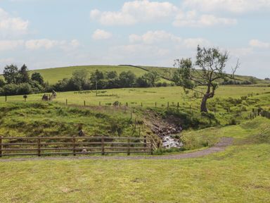 A landscape with a tree and a stream at Barley near Nelson