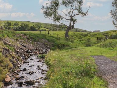A landscape with a stream and a tree at Ogden in Nelson