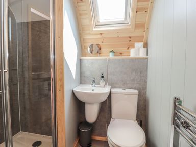 A bathroom with a shower, sink, and toilet at Pendle in Nelson