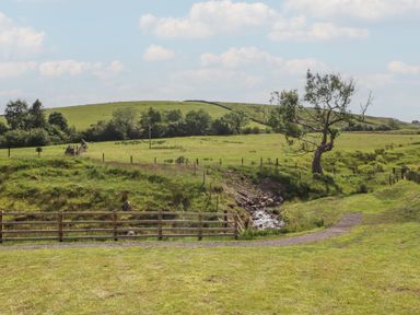 An outdoor landscape with a stream and a fence at Pendle in Nelson