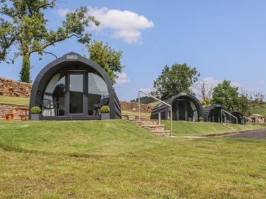 Glamping pods in a grassy area at Pendle in Nelson