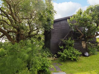 A garden with a wooden house surrounded by trees at The Tree House Nine Wells near Solva