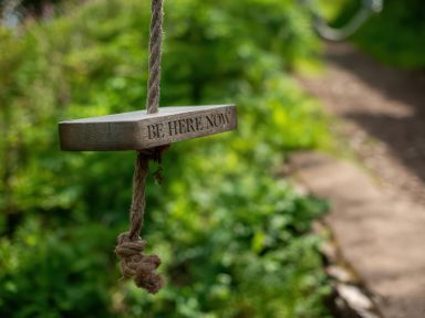 A wooden sign hanging from a rope in greenery at The Tree House in Nine Wells near Solva