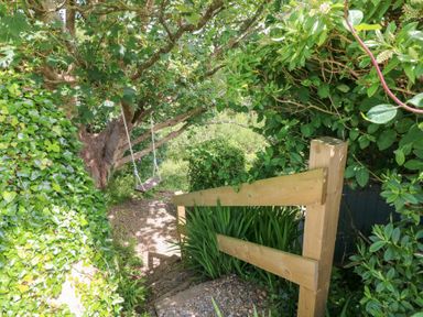 A garden with a swing hanging from a tree at The Shephard Hut Nine Wells near Solva