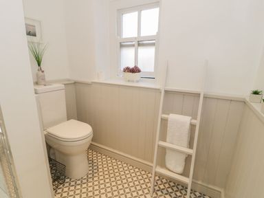 A bathroom with a toilet and a ladder at Bwthyn Morse in Llanfair