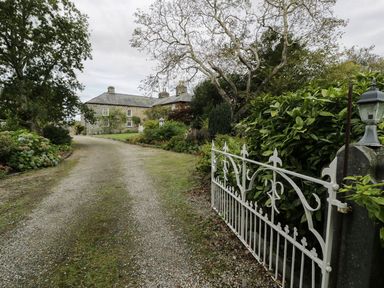 A gravel path leading to a house surrounded by trees and bushes at Bwthyn Canol in Llanfair
