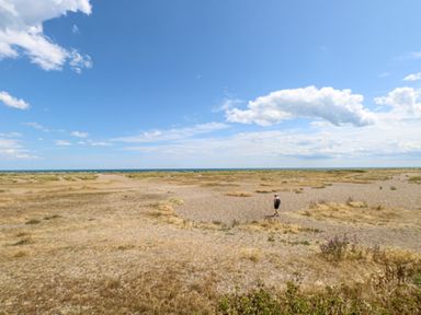 A view of a beach with a person walking on sand at No. 2 - Seaview in Kessingland