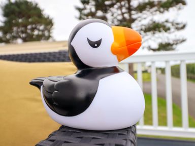 A puffin toy on outdoor furniture at 8 Puffin Way Llwyngwril