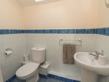 A bathroom with a toilet and sink at 1 Bryn Beudy Stepaside