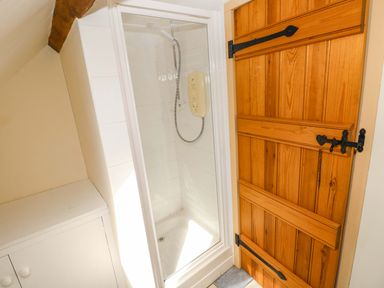 A shower with wooden door and white cabinet at Carreg Las in Haverfordwest