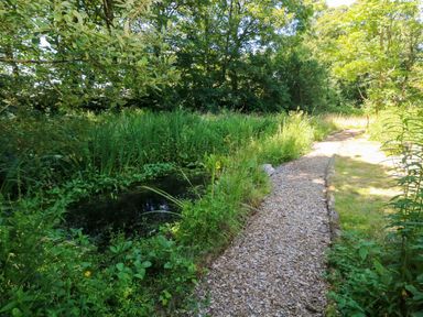 A garden path beside a pond at Carreg Las in Haverfordwest
