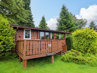 A log cabin with a deck and surrounding greenery at Swn Yr Afon - No 333